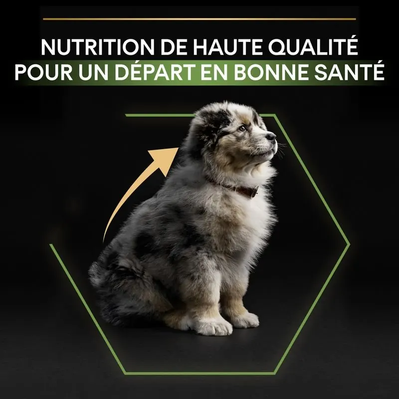 Pro Plan Medium Puppy Healthy Start pour chien 3kg miniature 5