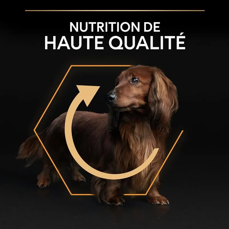 Pro Plan Small And Mini Adult – Poulet 3 kg miniature 5