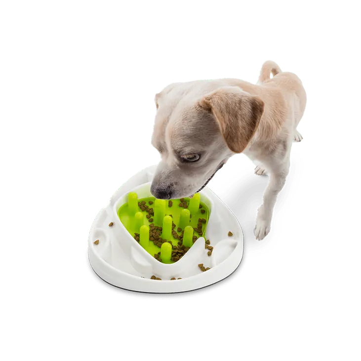 Ralentisseur Antiglouton Croquettes ou Pâtée Par All For Paws miniature 2