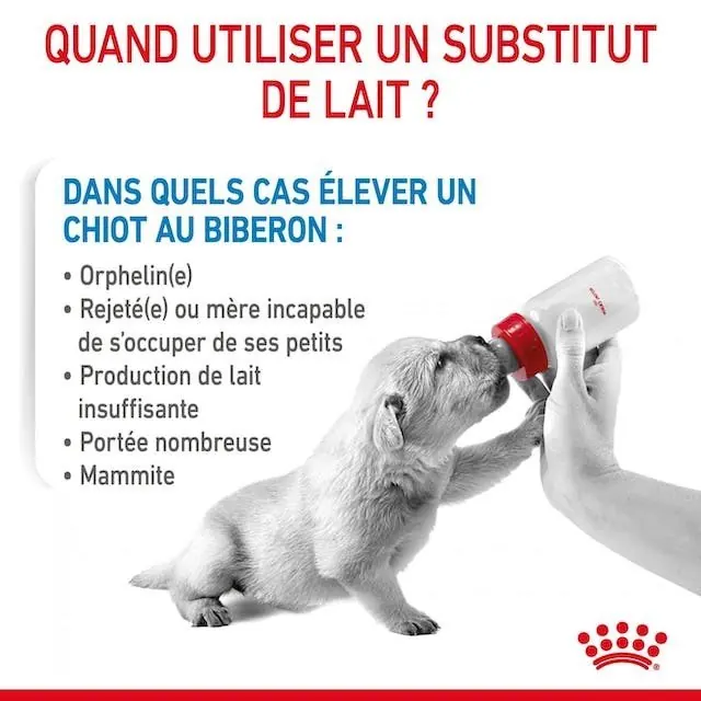 Royal Canin Baby Dog Milk 400 G miniature 3