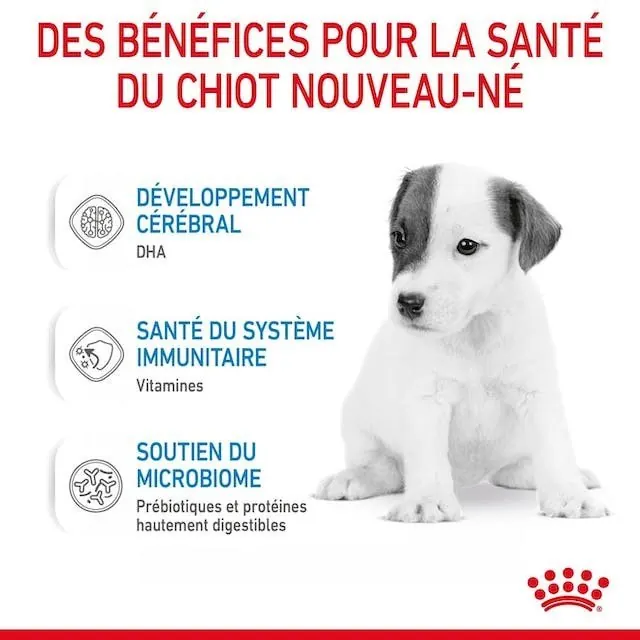 Royal Canin Baby Dog Milk 400 G miniature 4