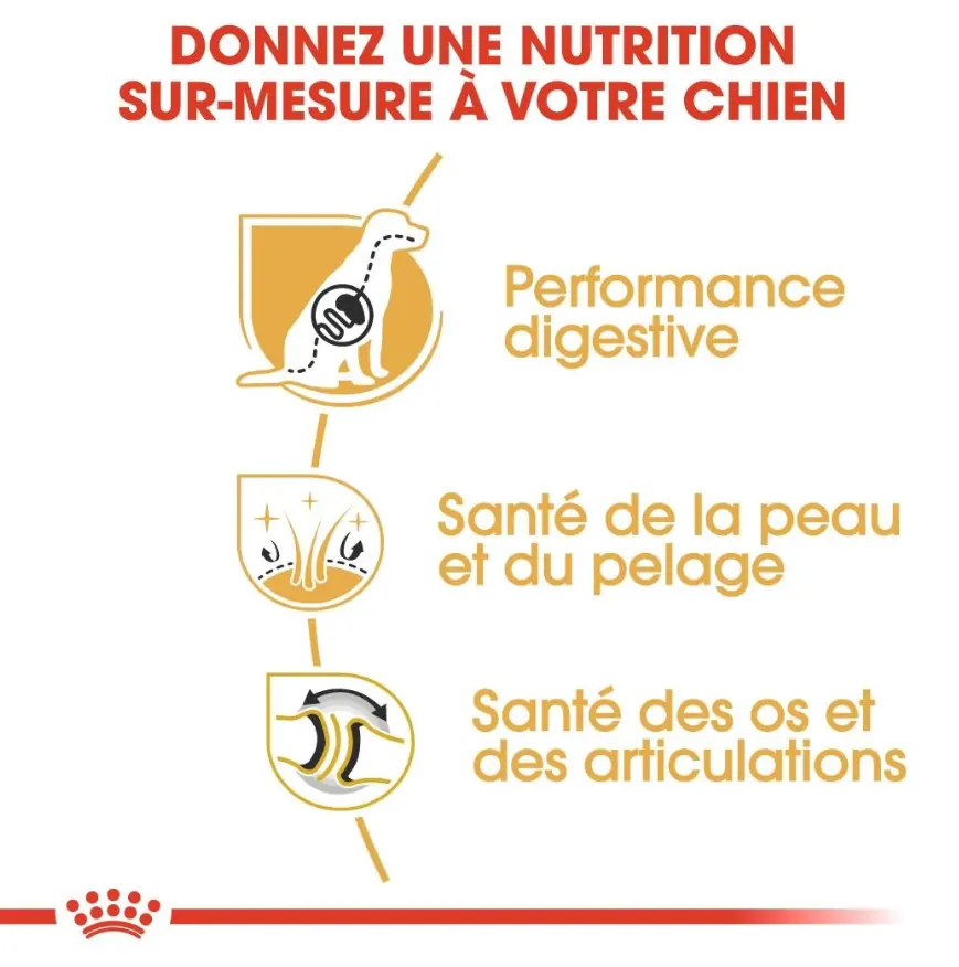 Royal Canin Berger Allemand Adulte 11 Kg Promo* miniature 3