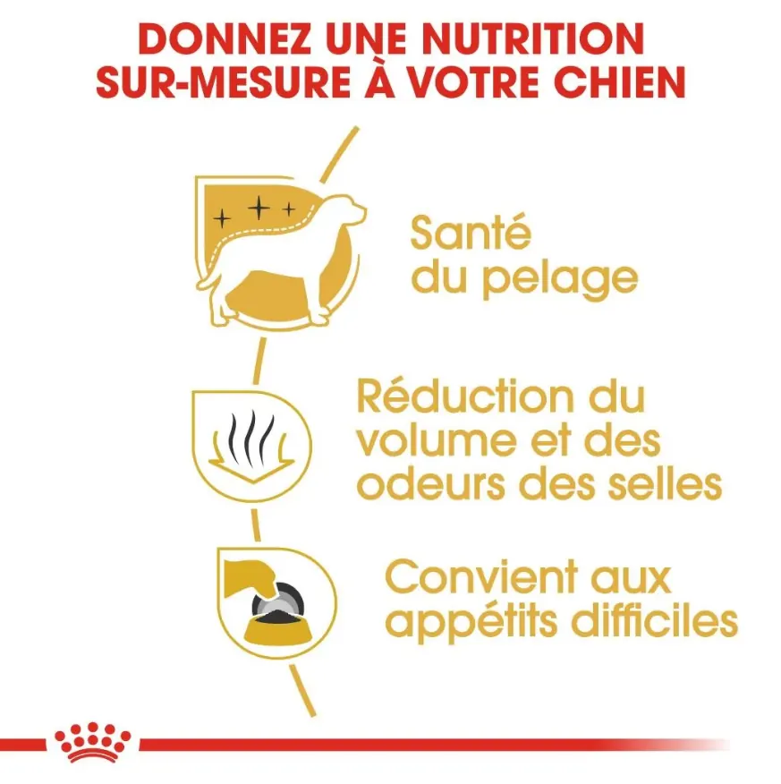 Royal Canin Bichon Maltais Adulte 1.5 Kg miniature 3