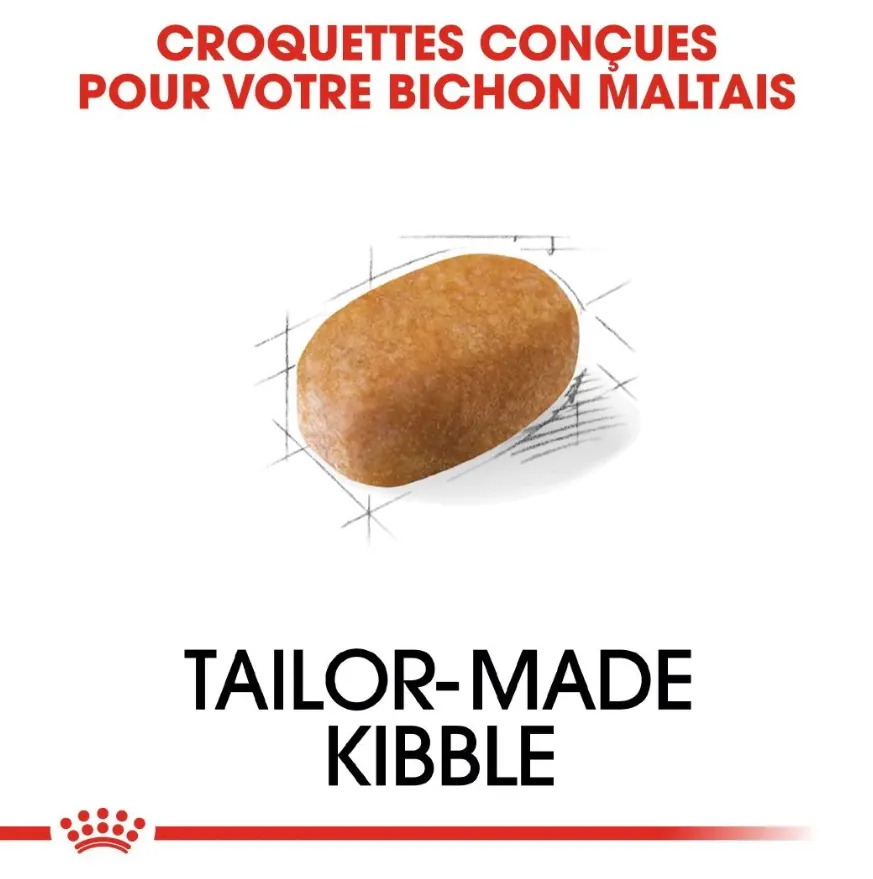 Royal Canin Bichon Maltais Adulte 1.5 Kg miniature 4
