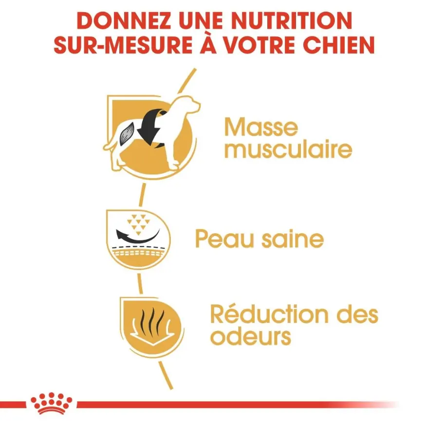 Royal Canin Bouledogue Français Adulte 3 Kg Promo miniature 2