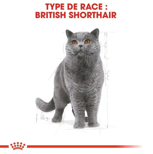 Royal Canin British Shorthair Adulte 2 Kg miniature 5