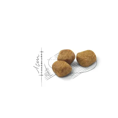 Royal Canin Chat Indoor 7+ 3.5kg miniature 2