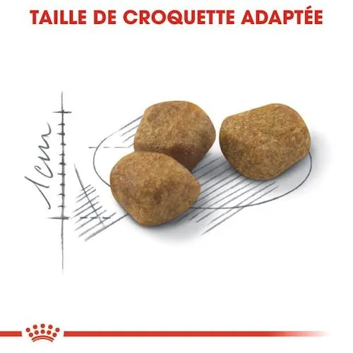 Royal Canin Chat Indoor 7+ 3.5kg miniature 5