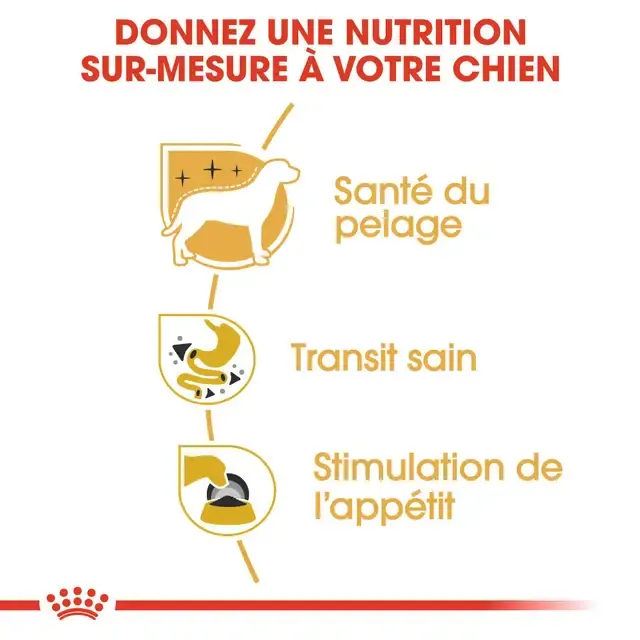 Royal Canin Chihuahua Adulte En Sauce 85g miniature 2