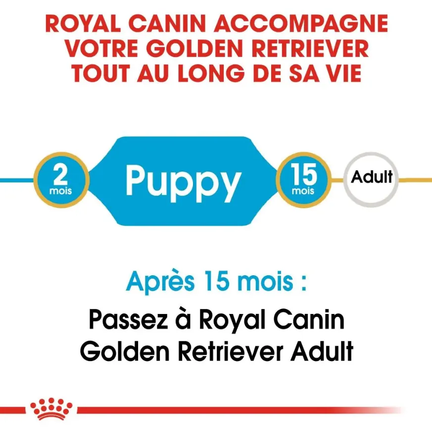 Royal Canin Chiot Golden Retriever 12 Kg miniature 5