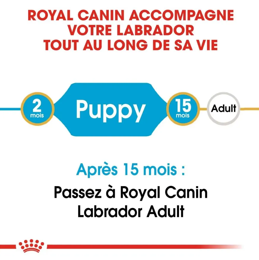 Royal Canin Chiot Labrador Retriever 12 Kg miniature 5