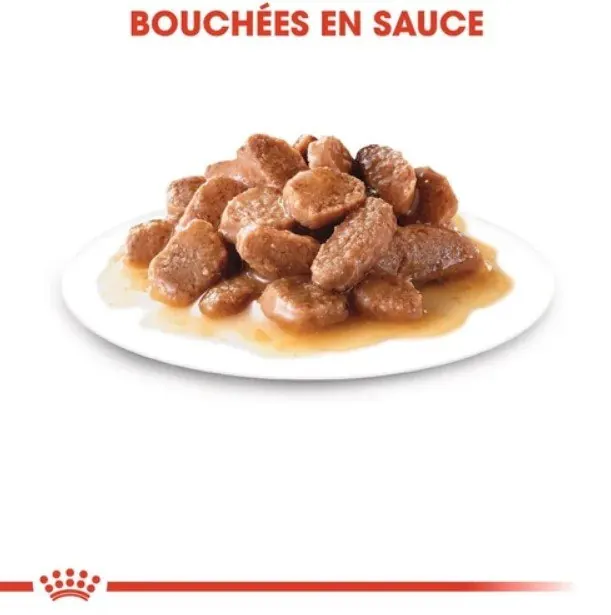 Royal Canin Digest Sensitive en sauce 85 G miniature 3