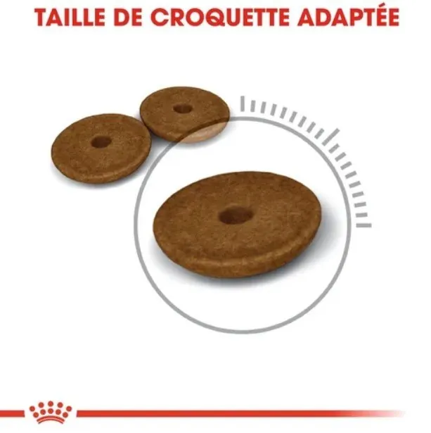 Royal Canin Digestive Care 2 kg+400g Gratuit miniature 4