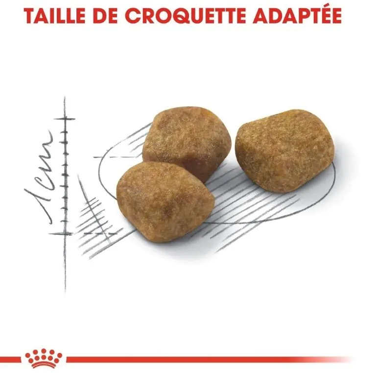 Royal Canin Fit miniature 3