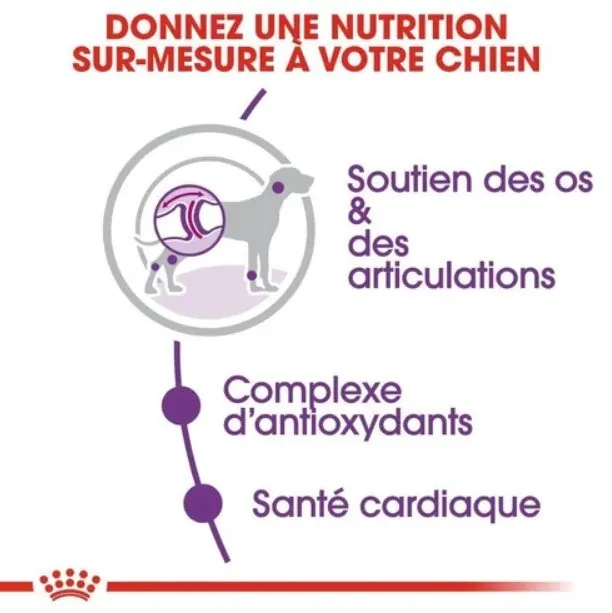 Royal Canin Giant Adulte 15 Kg miniature 3