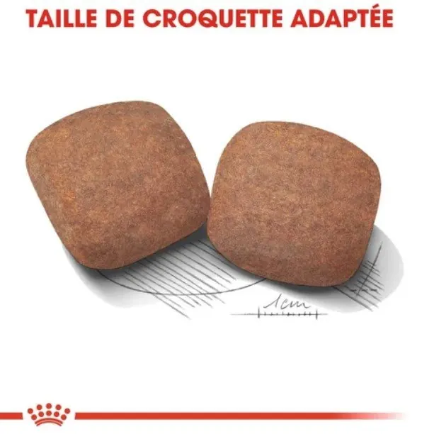 Royal Canin Giant Adulte 15 Kg miniature 4