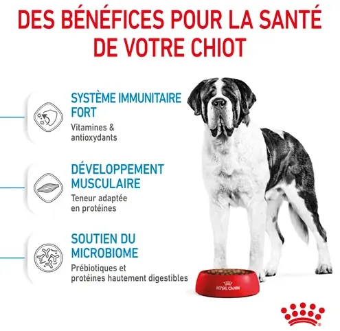 Royal Canin Giant Junior pour chiot 15kg miniature 4