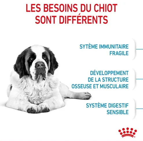 Royal Canin Giant Junior pour chiot 15kg miniature 5