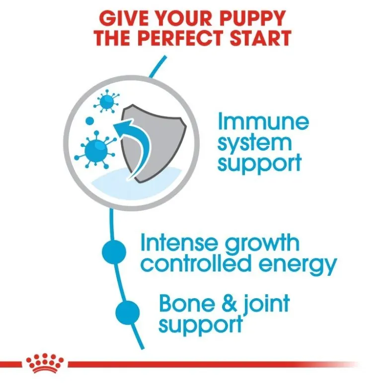 Royal Canin Giant Puppy pour chiot 15 kg miniature 3