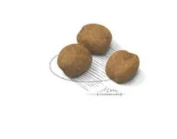 Royal Canin Giant Puppy pour chiot 15 kg Promo* miniature 4