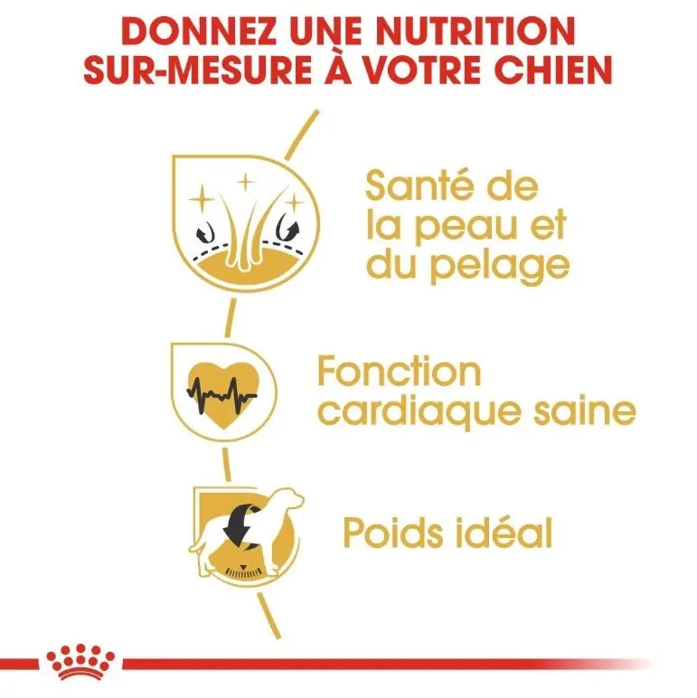 Royal Canin Golden Retriever Adulte 12 Kg miniature 2