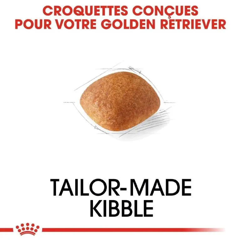 Royal Canin Golden Retriever Adulte 12 Kg miniature 3