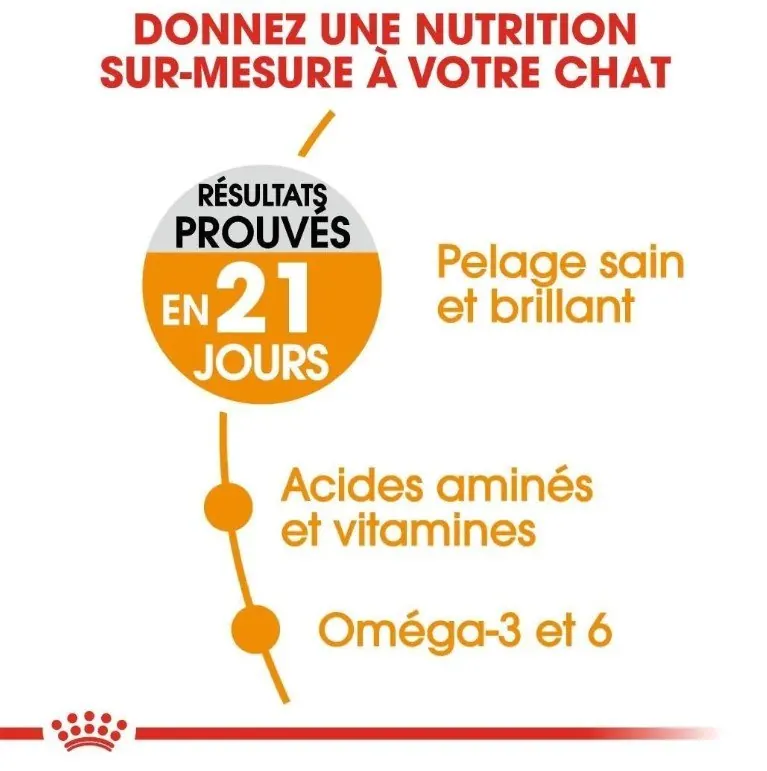 Royal Canin Hair and Skin Care 2 Kg +400g Gratuit miniature 2