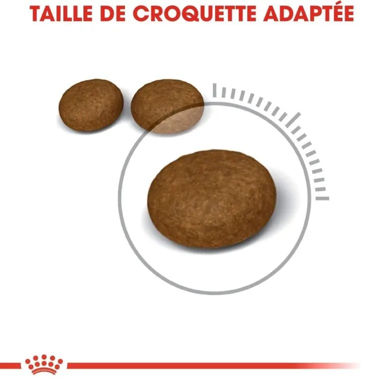Royal Canin Hair and Skin Care 2 Kg miniature 3
