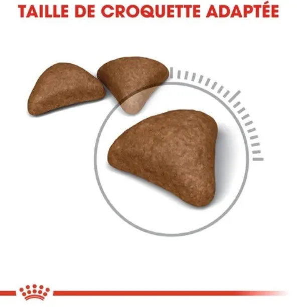 Royal Canin Hairball Care 2 kg miniature 3