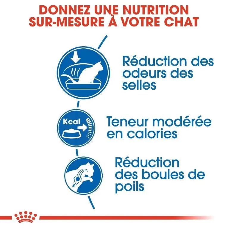 Royal Canin Indoor 2kg | 10 Kg miniature 3
