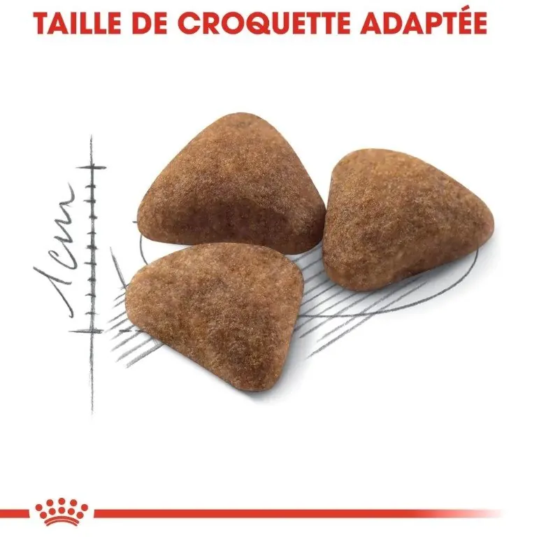 Royal Canin Indoor 2kg + Pochon 85g Gratuit miniature 2