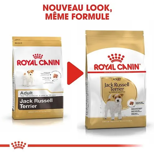 Royal Canin Jack Russell Adulte 3 kg miniature 5