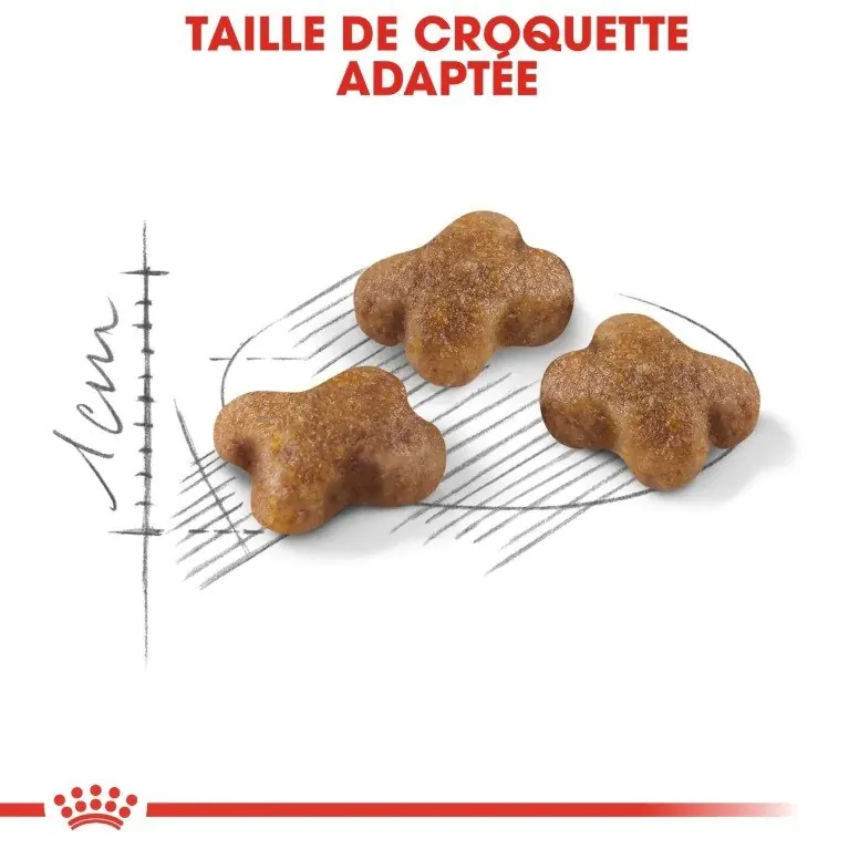 Royal Canin Kitten 2 kg | 4 kg |10 kg miniature 3