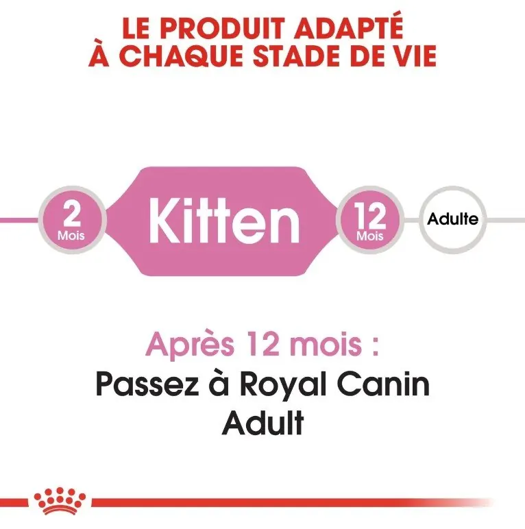 Royal Canin Kitten 2 kg | 4 kg |10 kg miniature 5