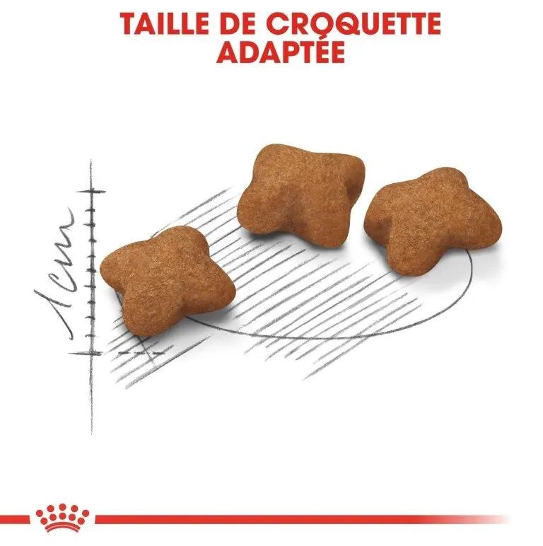 Royal Canin Kitten Sterilised 2kg miniature 3