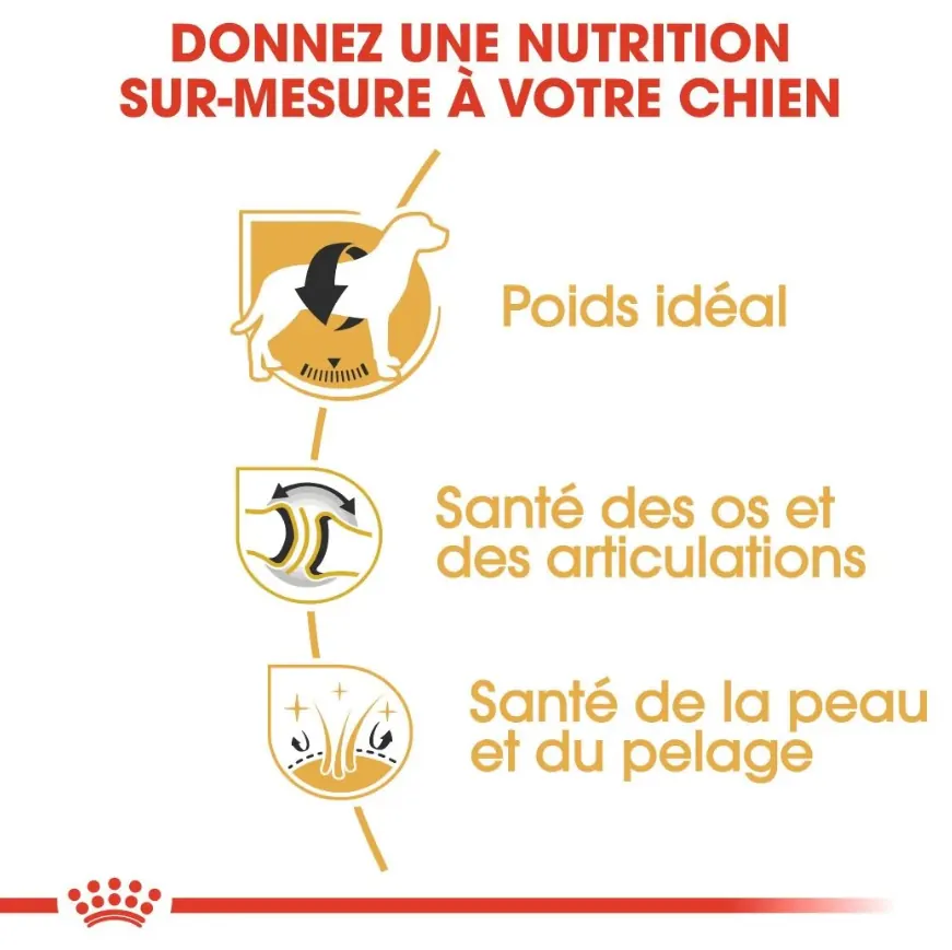 Royal Canin Labrador Retriever Adulte 12 kg miniature 3