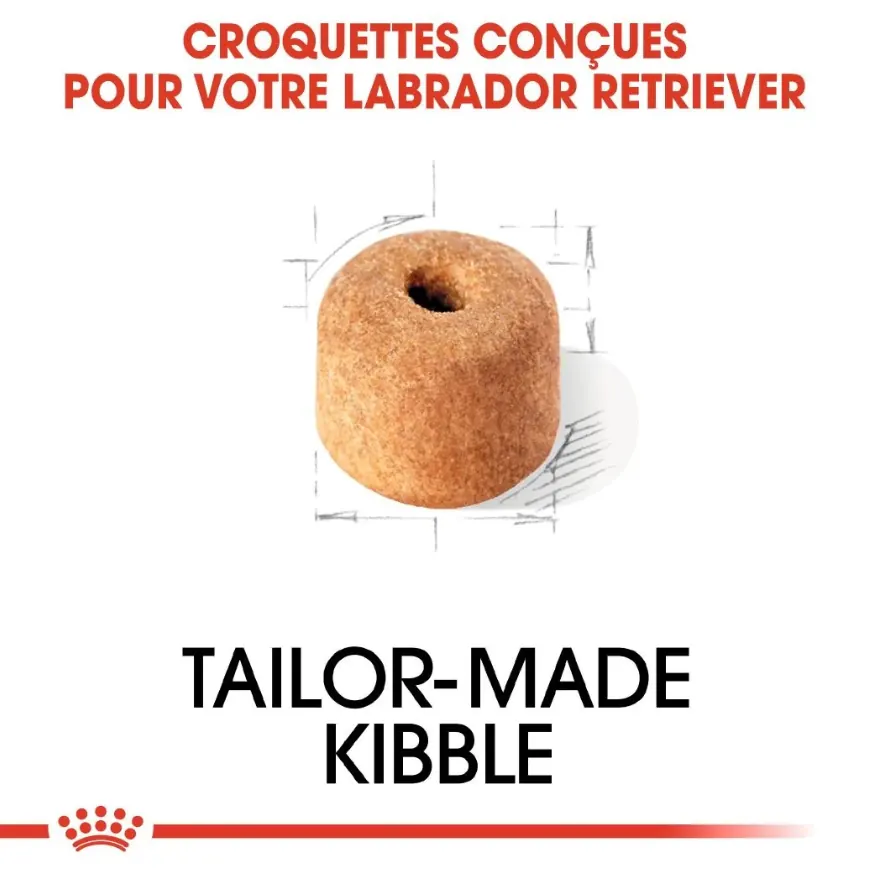 Royal Canin Labrador Retriever Adulte 12 kg Promo miniature 4