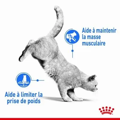 Royal Canin Light Weight Care Adulte 1.5 kg miniature 4