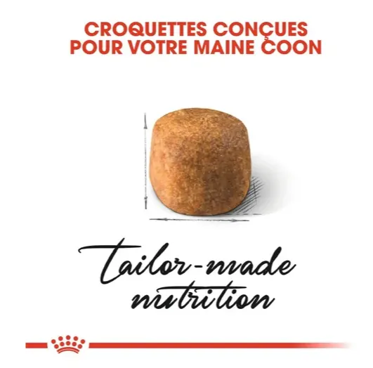Royal Canin Maine Coon Adulte 2 Kg miniature 4