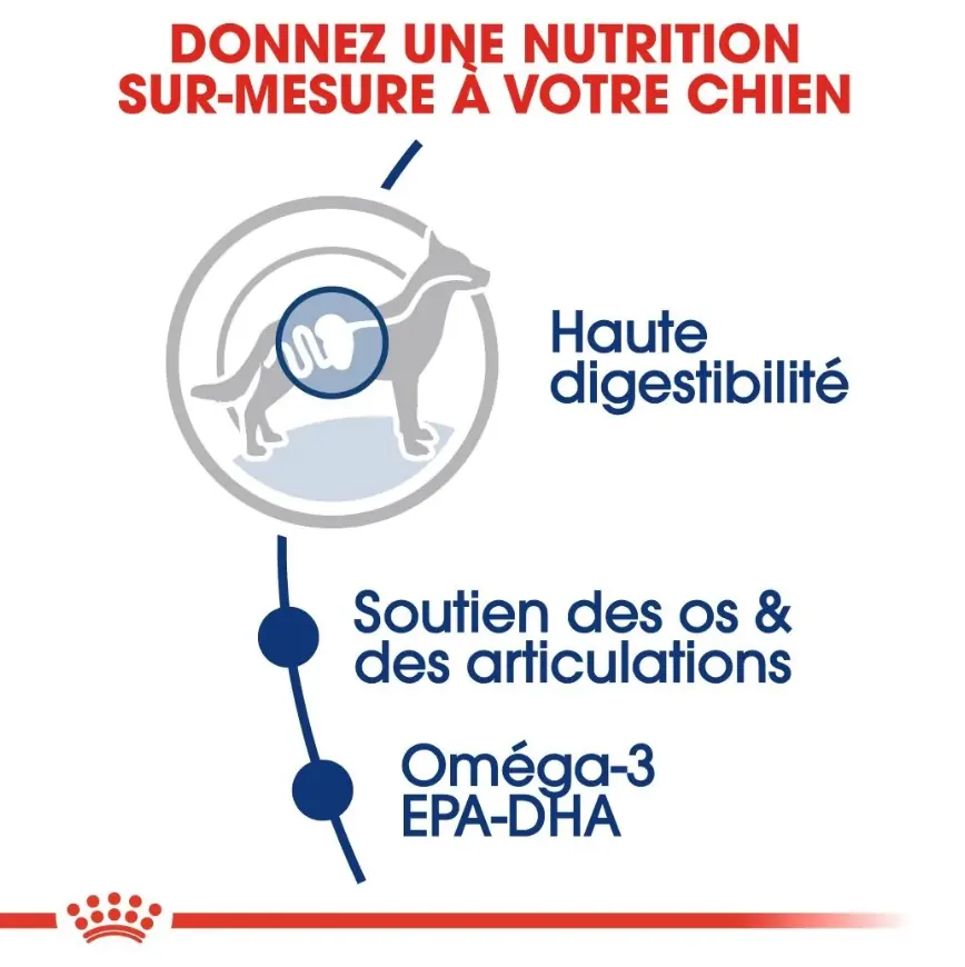 Royal Canin Maxi Adult  4 Kg | 10 Kg | 15 Kg miniature 3