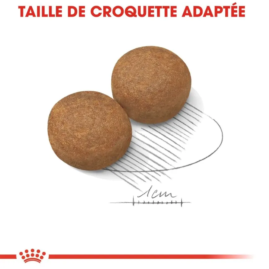 Royal Canin Maxi Adult  4 Kg | 10 Kg | 15 Kg miniature 4