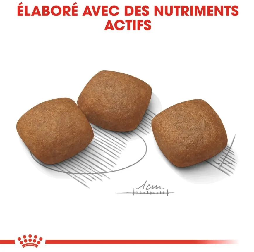 Royal Canin Maxi Joint Care 10 Kg miniature 3