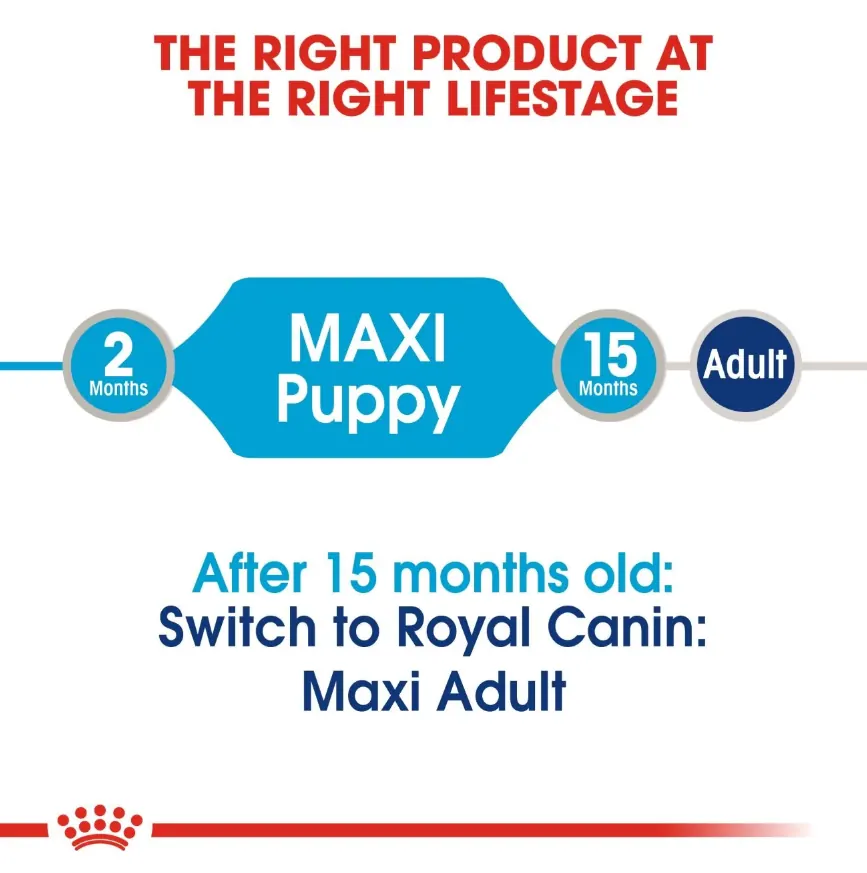 Royal Canin Maxi Puppy 15 Kg + Conteneur gratuit miniature 3