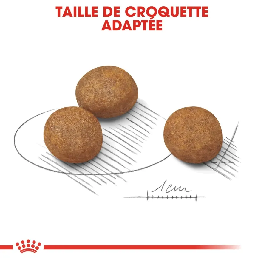 Royal Canin Maxi Puppy 15 Kg + Conteneur gratuit miniature 4