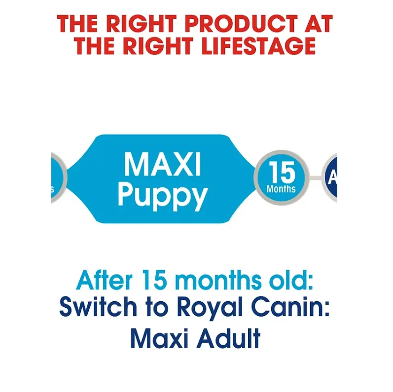 Royal Canin Maxi Puppy Sauce-Sachet fraîcheur pour chiot 140G miniature 4