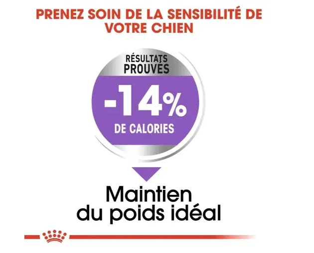 Royal Canin Maxi Sterilised 12 Kg miniature 4