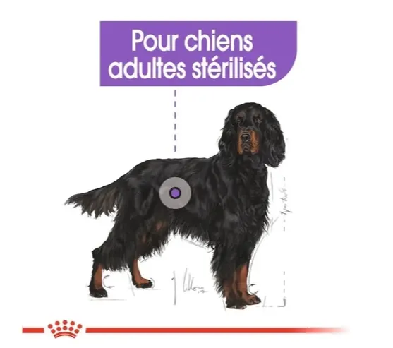 Royal Canin Maxi Sterilised 12 Kg miniature 5