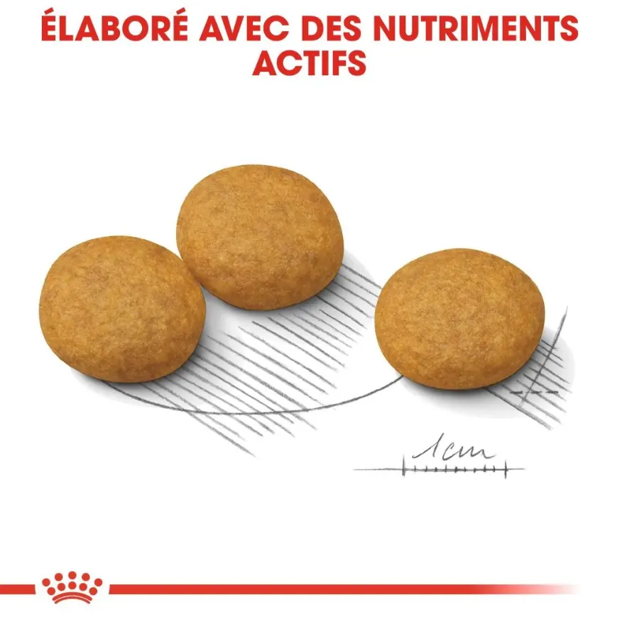 Royal Canin Medium Dermacomfort 12 Kg miniature 3