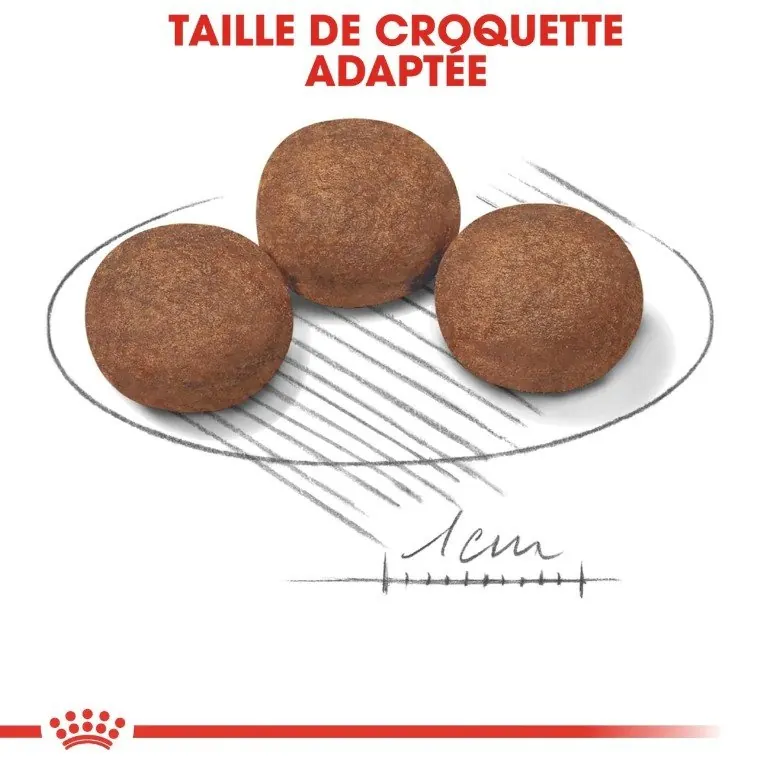Royal Canin Medium Puppy 15 Kg  avec Bac à croquettes gratuit miniature 4