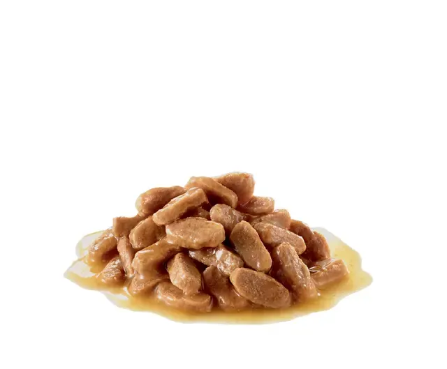 Royal Canin Medium Puppy (Chiot) Sauce – 140g miniature 2